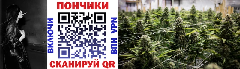 Бошки марихуана Bruce Banner  дарнет шоп  сайты даркнета телеграм  Приозерск 